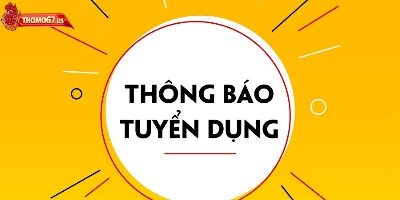 Các chế độ phúc lợi và mức lương thưởng khi ứng tuyển